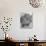 Pomeranian-Alfred Eisenstaedt-Photographic Print displayed on a wall