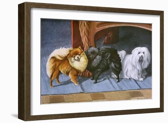 Pomeranians, Maltese Terrier-null-Framed Art Print