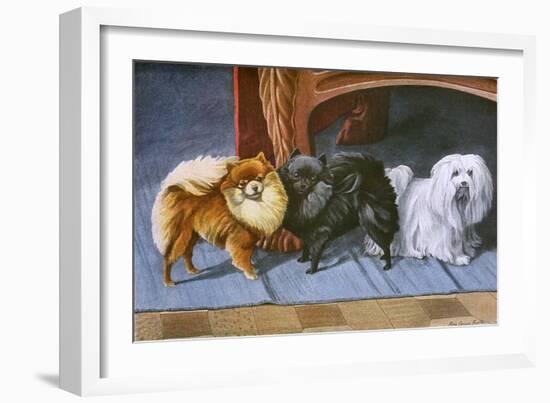 Pomeranians, Maltese Terrier-null-Framed Art Print