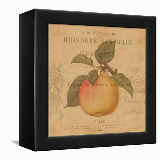 Pomme-Deborah Devellier-Framed Stretched Canvas