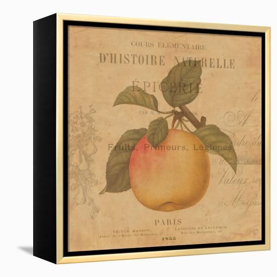 Pomme-Deborah Devellier-Framed Stretched Canvas