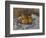 Pommes et poires-Pierre-Auguste Renoir-Framed Giclee Print