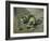 Pommes vertes-Paul Cézanne-Framed Giclee Print