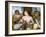 Pomona, 1564-5-Frans de Vriendt-Framed Giclee Print