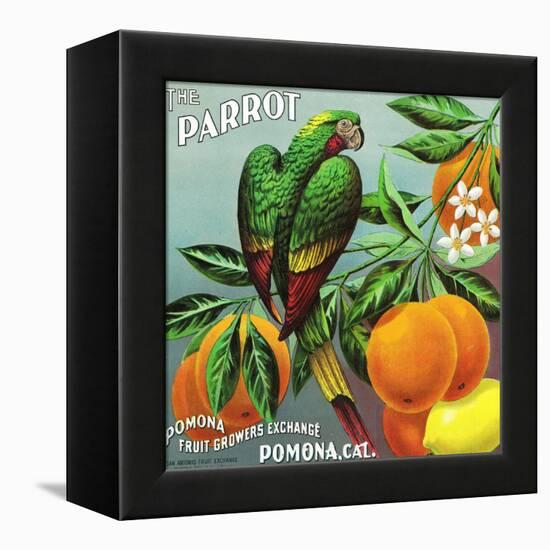 Pomona, California, The Parrot Brand Citrus Label-Lantern Press-Framed Stretched Canvas