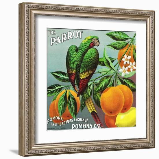 Pomona, California, The Parrot Brand Citrus Label-Lantern Press-Framed Art Print