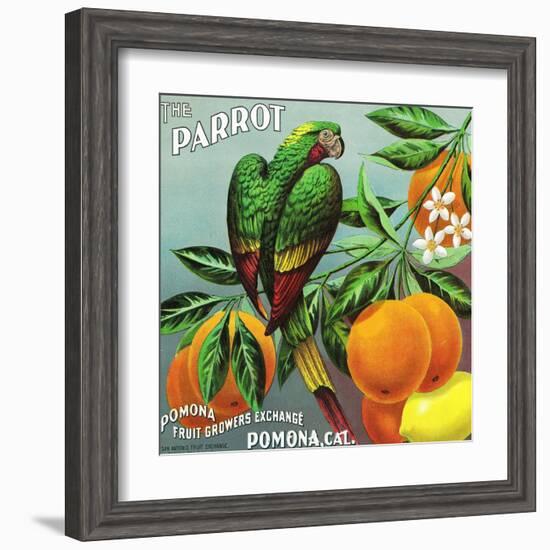 Pomona, California, The Parrot Brand Citrus Label-Lantern Press-Framed Art Print