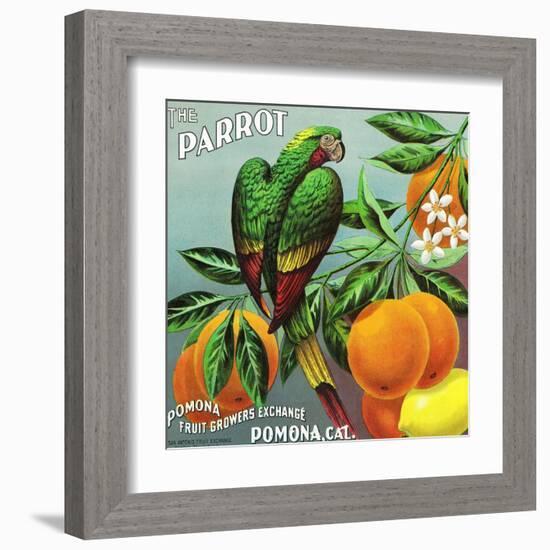 Pomona, California, The Parrot Brand Citrus Label-Lantern Press-Framed Art Print