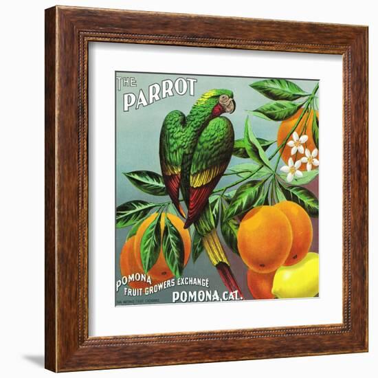 Pomona, California, The Parrot Brand Citrus Label-Lantern Press-Framed Art Print