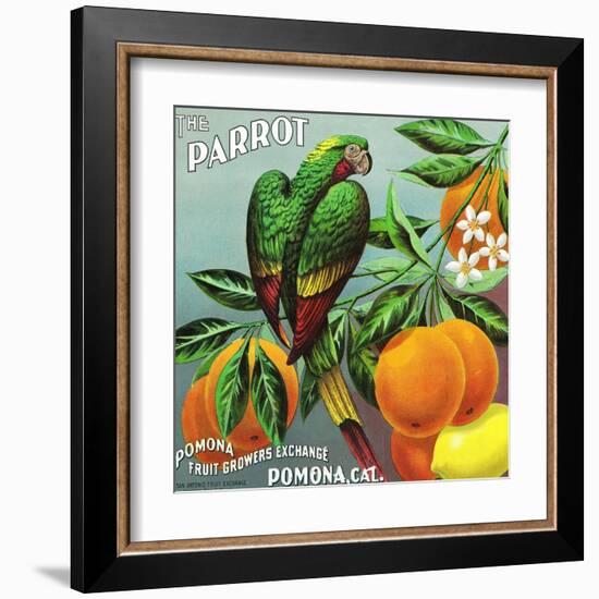 Pomona, California, The Parrot Brand Citrus Label-Lantern Press-Framed Art Print