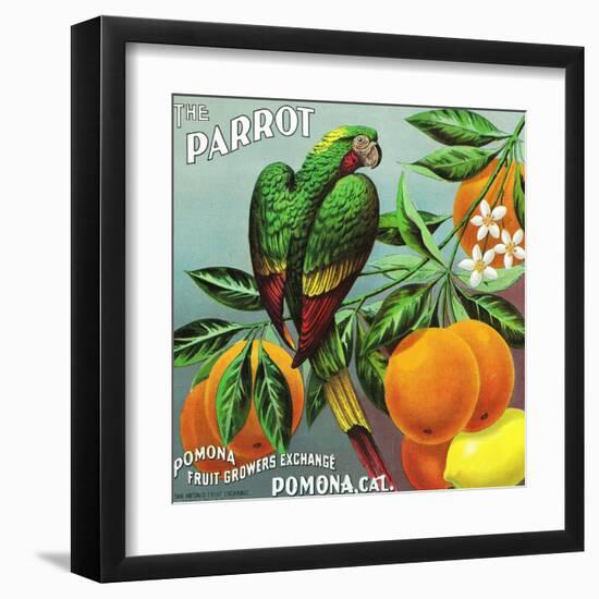 Pomona, California, The Parrot Brand Citrus Label-Lantern Press-Framed Art Print