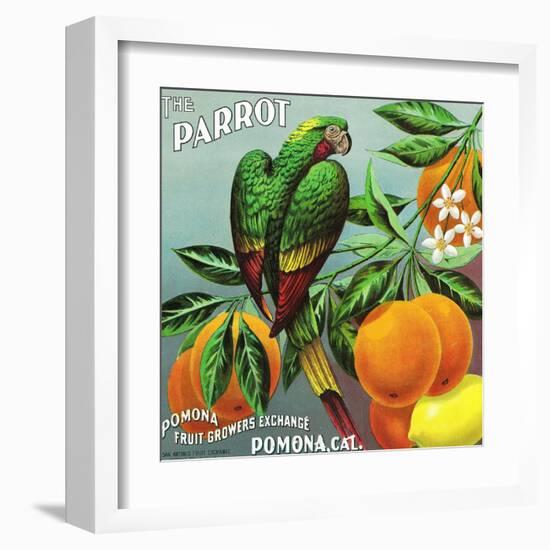 Pomona, California, The Parrot Brand Citrus Label-Lantern Press-Framed Art Print