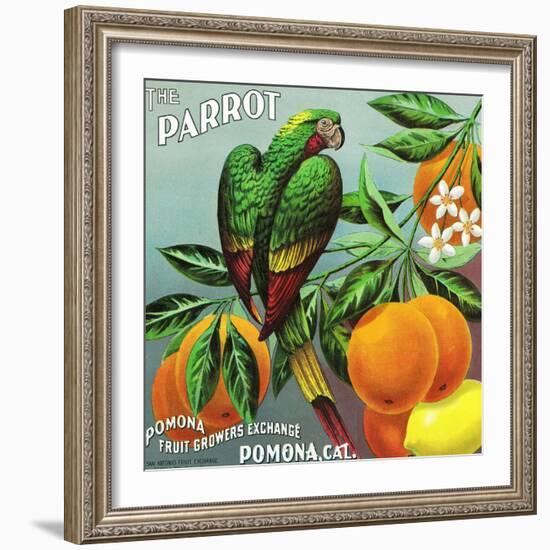 Pomona, California, The Parrot Brand Citrus Label-Lantern Press-Framed Art Print