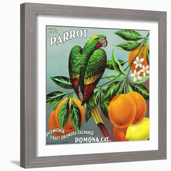 Pomona, California, The Parrot Brand Citrus Label-Lantern Press-Framed Art Print