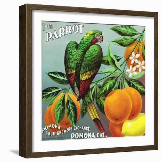 Pomona, California, The Parrot Brand Citrus Label-Lantern Press-Framed Art Print