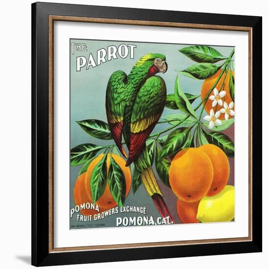 Pomona, California, The Parrot Brand Citrus Label-Lantern Press-Framed Art Print