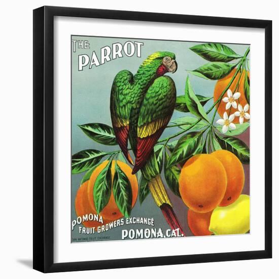 Pomona, California, The Parrot Brand Citrus Label-Lantern Press-Framed Art Print