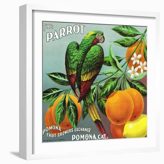 Pomona, California, The Parrot Brand Citrus Label-Lantern Press-Framed Art Print