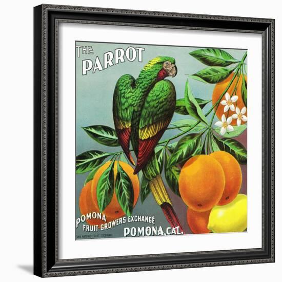 Pomona, California, The Parrot Brand Citrus Label-Lantern Press-Framed Art Print