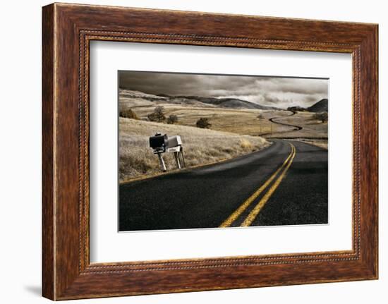 Pompadour Drive-David Winston-Framed Giclee Print