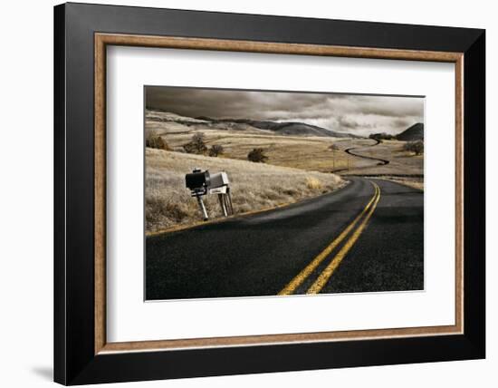 Pompadour Drive-David Winston-Framed Giclee Print