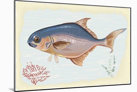 Pompano Fish on Retro Style Background-Milovelen-Mounted Art Print
