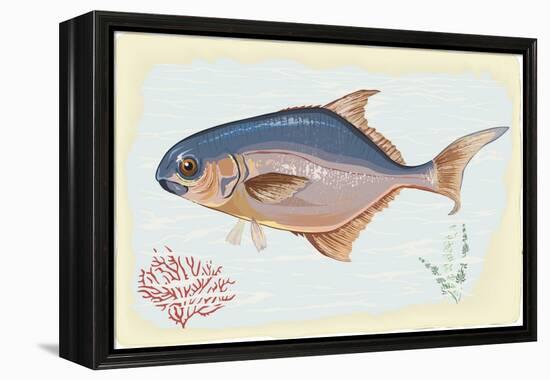 Pompano Fish on Retro Style Background-Milovelen-Framed Stretched Canvas