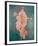 Pompeii Fresco II-The Vintage Collection-Framed Giclee Print