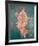 Pompeii Fresco II-The Vintage Collection-Framed Giclee Print