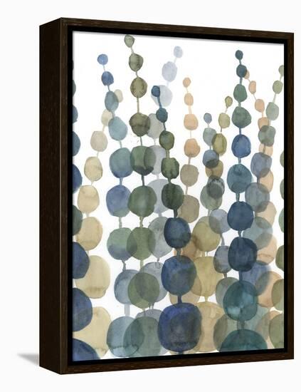 Pompom Botanical II-Megan Meagher-Framed Stretched Canvas