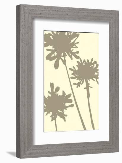 Pompom Brule (reverse)-Denise Duplock-Framed Art Print