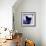 Poncho Sanchez - Conga Blue-null-Framed Art Print displayed on a wall