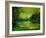 Pond 5431-Pol Ledent-Framed Art Print