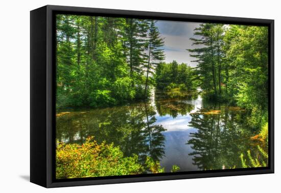 Pond and Pines-Robert Goldwitz-Framed Premier Image Canvas