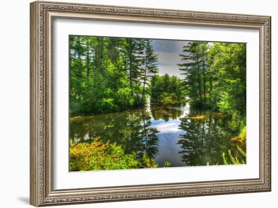 Pond and Pines-Robert Goldwitz-Framed Photographic Print