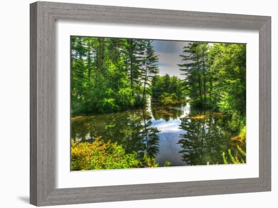 Pond and Pines-Robert Goldwitz-Framed Photographic Print