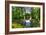 Pond and Pines-Robert Goldwitz-Framed Photographic Print