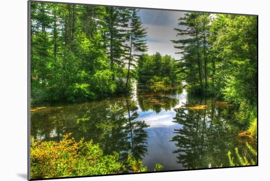 Pond and Pines-Robert Goldwitz-Mounted Photographic Print