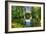 Pond and Pines-Robert Goldwitz-Framed Photographic Print