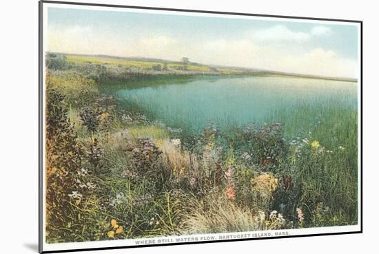 Pond and Wildflowers, Nantucket, Massachusetts-null-Mounted Art Print