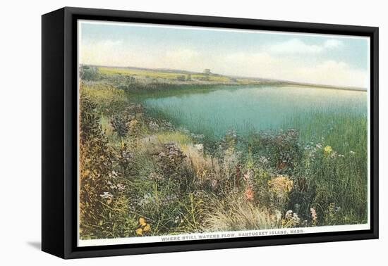 Pond and Wildflowers, Nantucket, Massachusetts-null-Framed Stretched Canvas