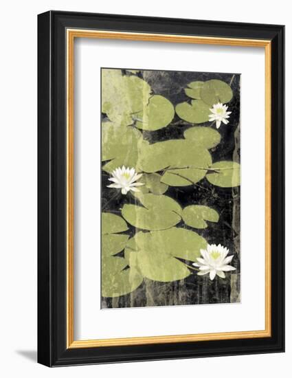 Pond Blossoms-Erin Clark-Framed Art Print