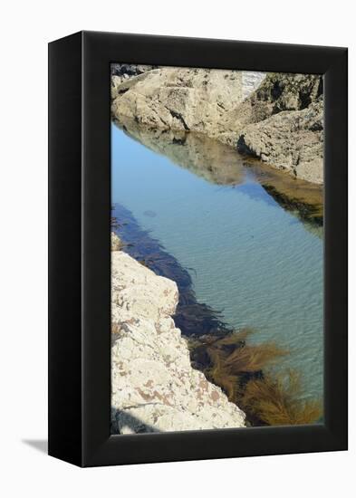 Pond Created in Between Rocks-Tim Kahane-Framed Premier Image Canvas