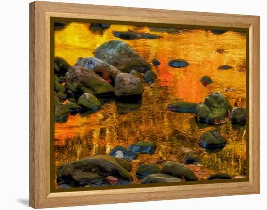 Pond, Davis, West Virginia, USA-Jay O'brien-Framed Premier Image Canvas