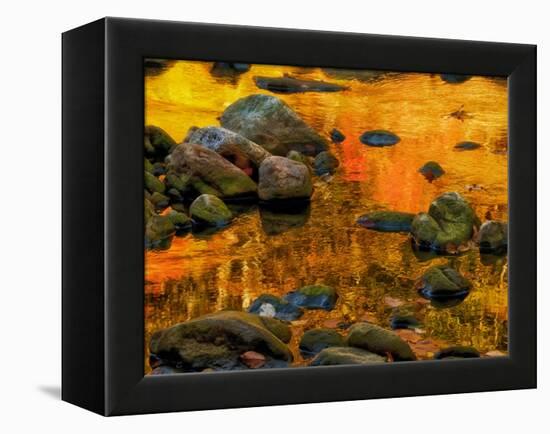 Pond, Davis, West Virginia, USA-Jay O'brien-Framed Premier Image Canvas
