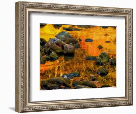 Pond, Davis, West Virginia, USA-Jay O'brien-Framed Photographic Print