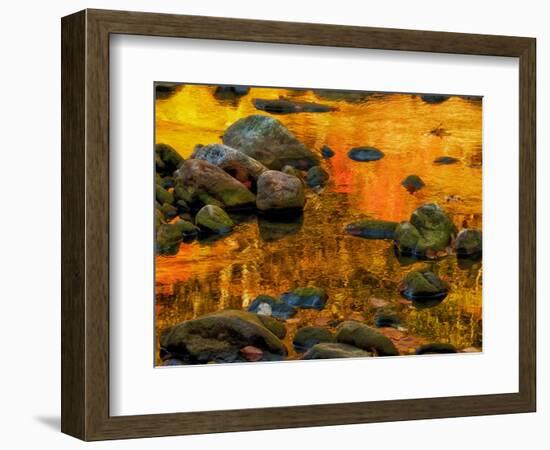 Pond, Davis, West Virginia, USA-Jay O'brien-Framed Photographic Print