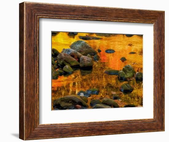 Pond, Davis, West Virginia, USA-Jay O'brien-Framed Photographic Print