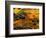 Pond, Davis, West Virginia, USA-Jay O'brien-Framed Photographic Print