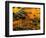 Pond, Davis, West Virginia, USA-Jay O'brien-Framed Photographic Print